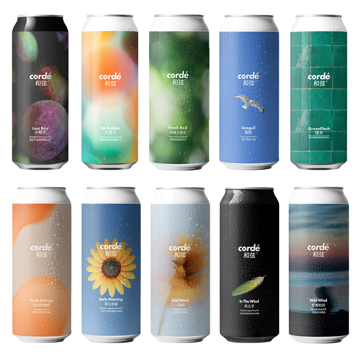 和弦精酿啤酒 绿光3.0四倍干投浑浊IPA 小精灵果泥酸艾尔 和弦10口味全家福组合 500mL 10罐 组合装