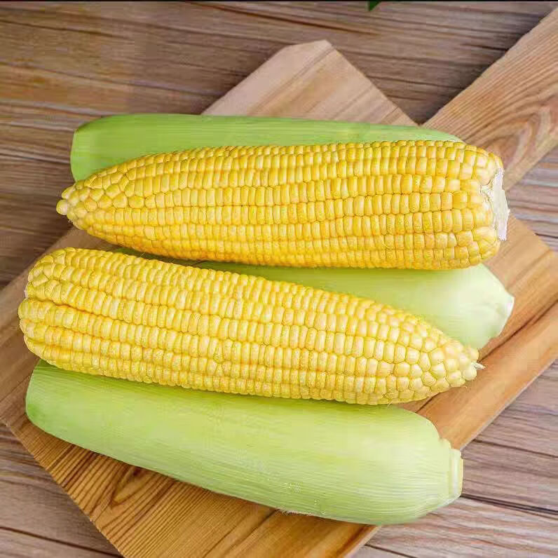 西亳水果玉米 新鲜玉米甜玉米棒新鲜现摘带皮蔬菜玉米粒 净重5斤 单果150g+