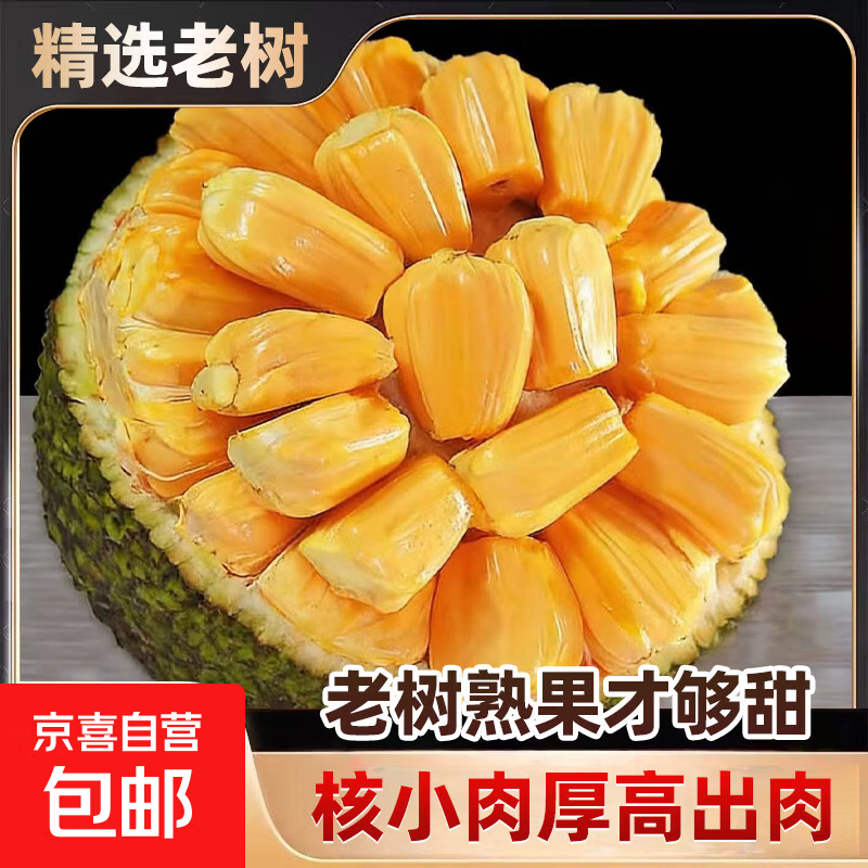 海南泰八菠萝蜜新鲜水果当季孕妇树上熟橙黄红肉波罗蜜包邮 【特级脆甜】海南泰八菠萝蜜一整个单果净重6-8斤