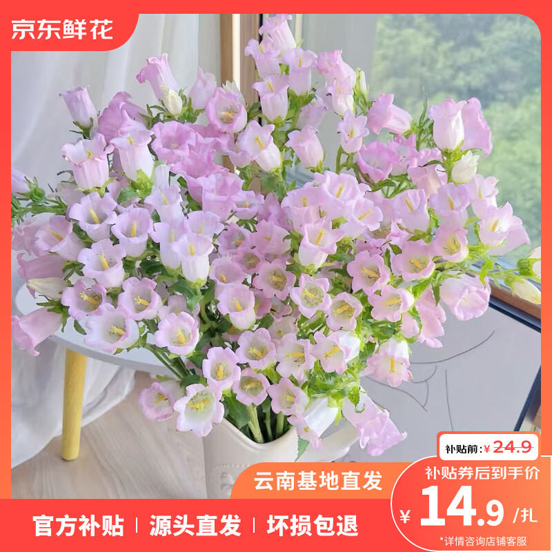 ToSpring���������������ɫ���л�ʱ���ʻ������ʻ�����ֱ�� ���廨1�����ɫ 14.9Ԫ