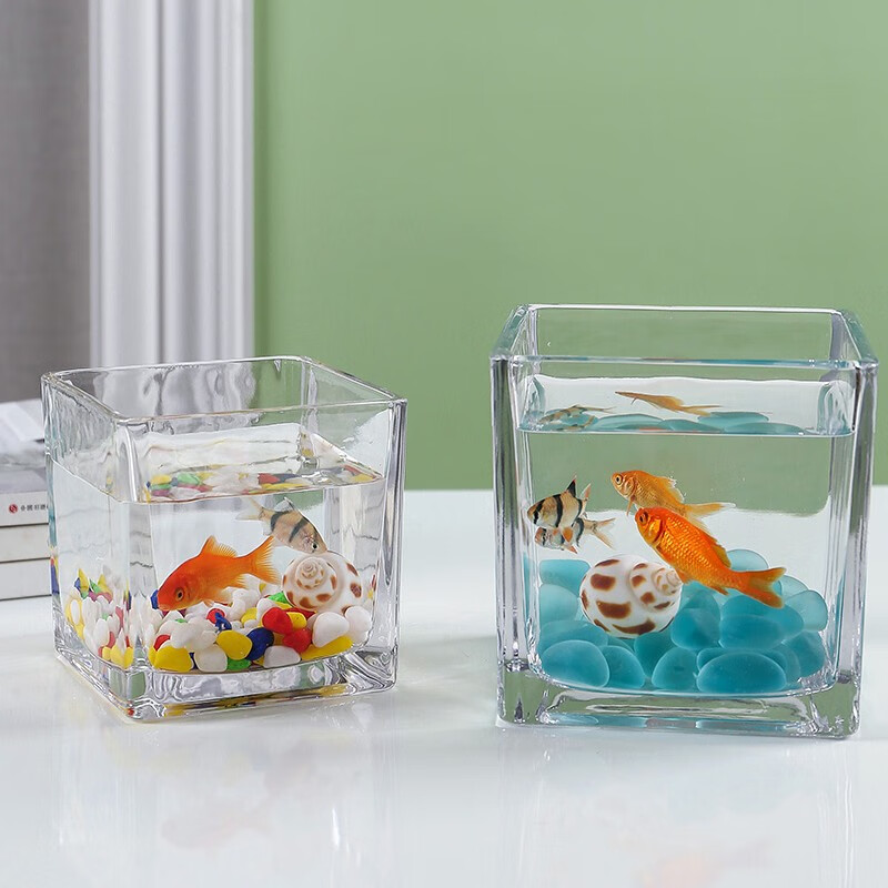 共度方形玻璃鱼缸真实使用感受,真相揭秘入手感受