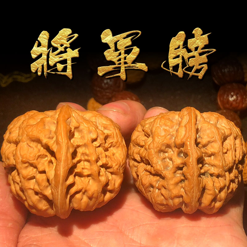 沐玛文玩核桃将军膀小众品种大尺寸核头古玩麻核桃盘玩送七夕礼物 a