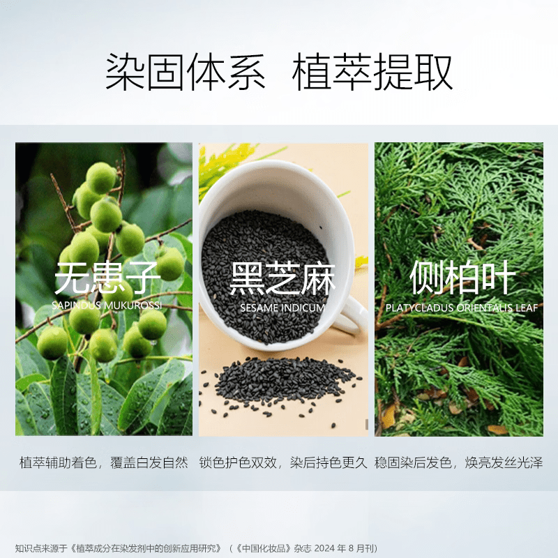 梵玢 FBCY FBCY植萃奢护染发剂【正品旗舰】染护一体自然黑遮盖白发 一瓶装【黑色】
