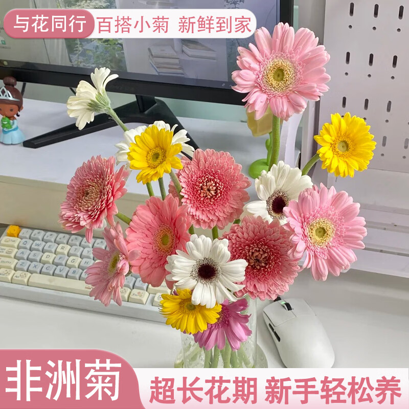 与花同行鲜花合集：非洲菊买10送10/小雏菊12.9元