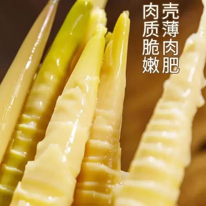乐安竹笋手剥笋即食鲜笋爆汁手撕网红竹笋尖香辣泡椒解馋零食凉菜脆笋50g 老汤味-30袋装