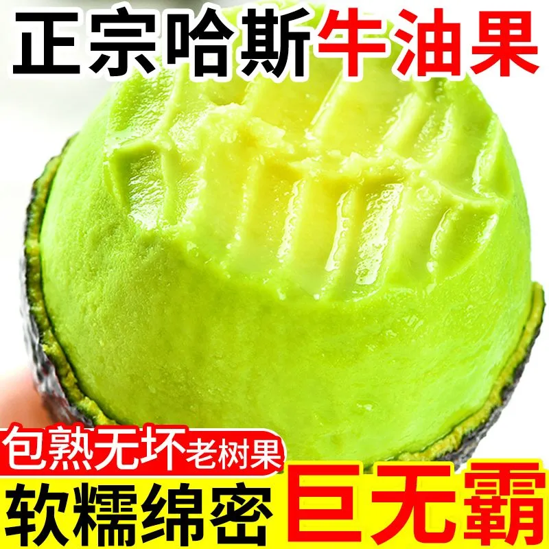 御红橙绿【正宗哈斯】秘鲁进口牛油果新鲜孕妇水果宝宝辅食鳄梨整箱包邮 大果【单果130-160g】性价比高 6个 送酱料包