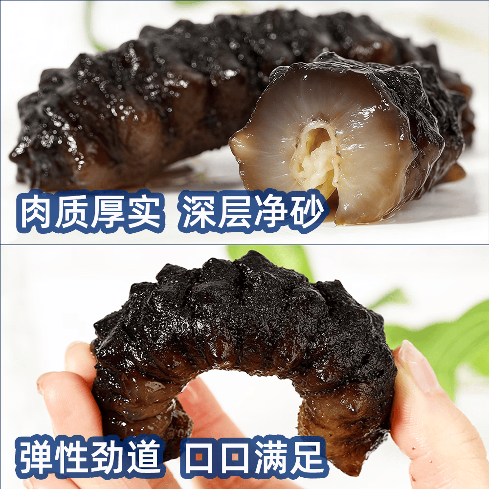 泊静野生即食海参 不包冰大个头独立包装开袋鲜食深海冰刺参 肉厚营养 1500g（33-45只）海参多