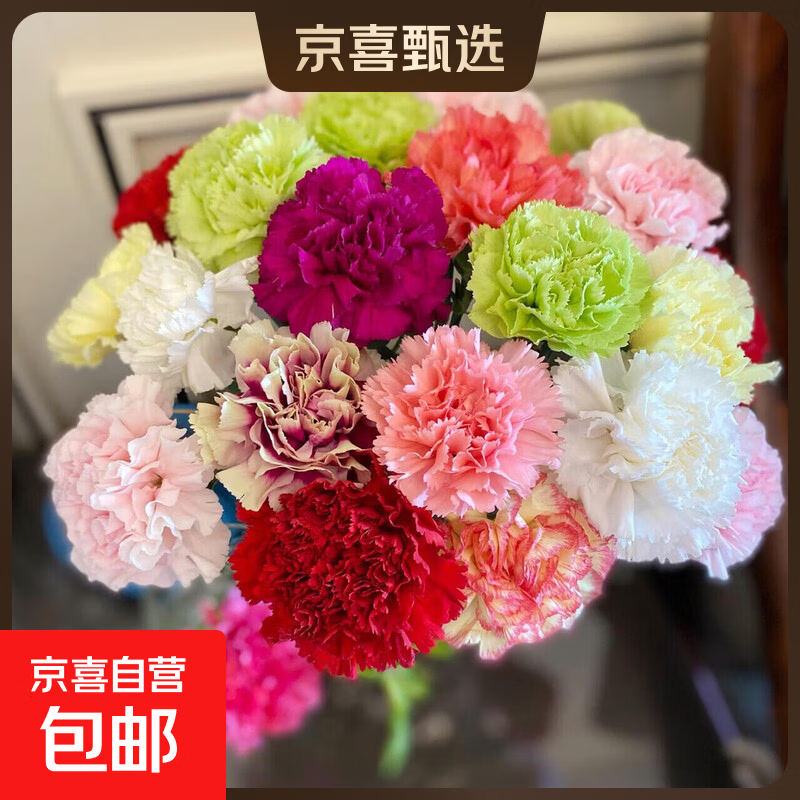 ����ܰ ˮ���廨 20֧ ��ɫ Ů����������� 23.52Ԫ