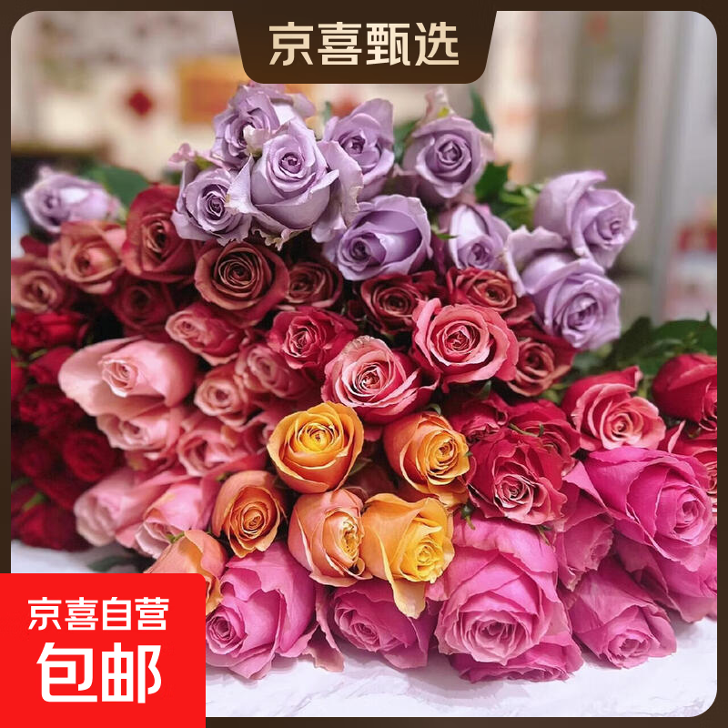 云南鲜花基地直发玫瑰花鲜切水养情人节礼物送礼38妇女女神节 随机玫瑰20支