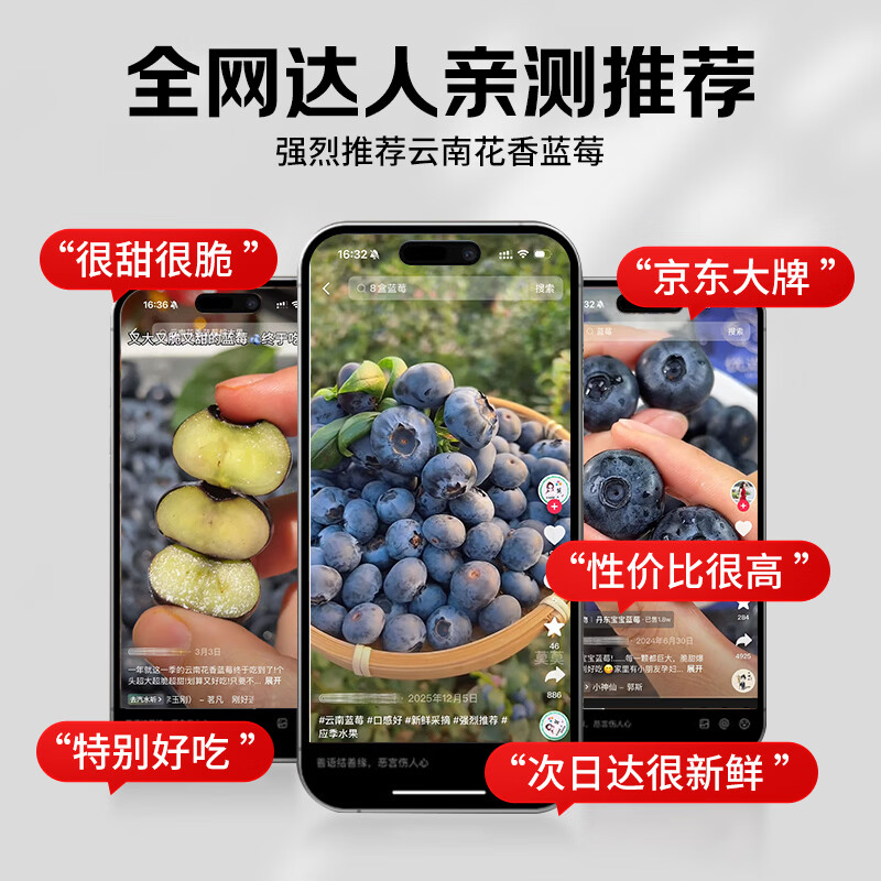 田拾记云南蓝莓【JD-多地次日达】巨无霸花香蓝莓超大果新鲜水果送礼 【单果15mm+】甄选大果·爆汁甜 4盒·单人畅吃】100g-125g/盒-越多越划算