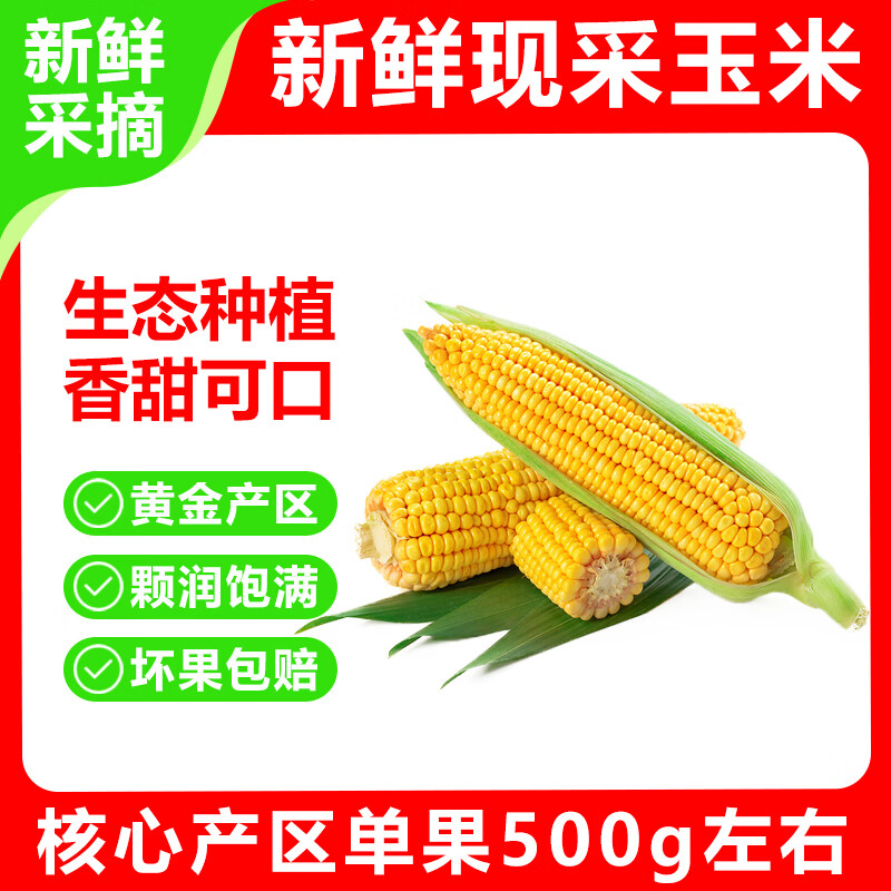 西亳水果玉米 新鲜玉米甜玉米棒新鲜现摘带皮蔬菜玉米粒 净重5斤 单果150g+