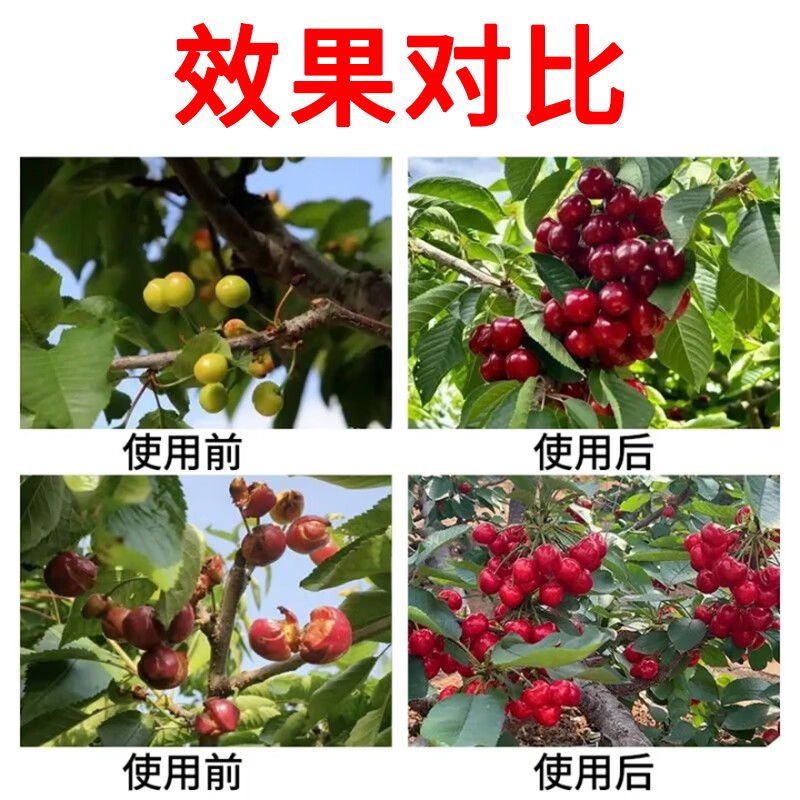 垄颖大樱桃授粉专用肥催花授粉猛坐果樱桃果大果甜坐果免点花提升坐果 200ml【1瓶】