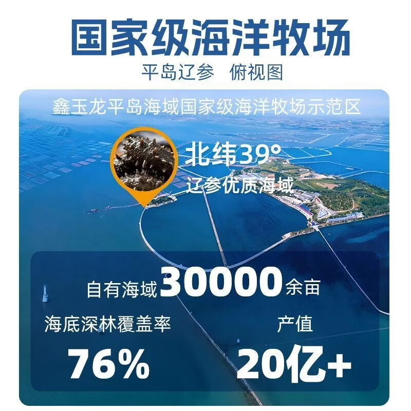 鑫玉龙有机即食海参正宗大连辽参鲜食辽刺参海鲜水产 固体物含量≥85% 【量贩装】有机海参3斤42头