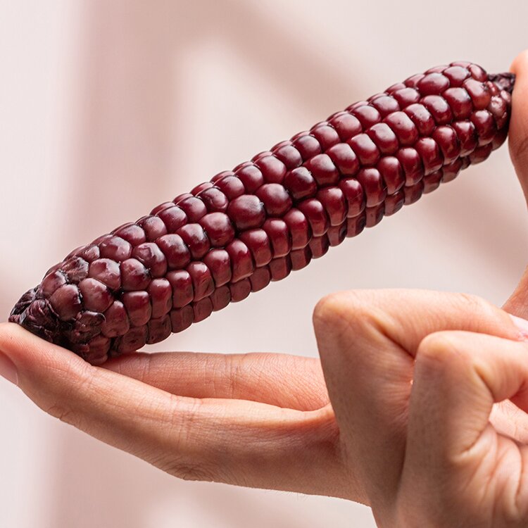 彩云之南西双版纳紫拇指小玉米自然生长新鲜现摘现发玉米真空包装 紫拇指小玉米1公斤/箱（16-20根） （礼盒装）