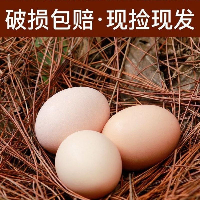 【40枚】正宗农家土鸡蛋散养笨鸡蛋新鲜鸡蛋月子蛋批发初生蛋 40枚土鸡蛋
