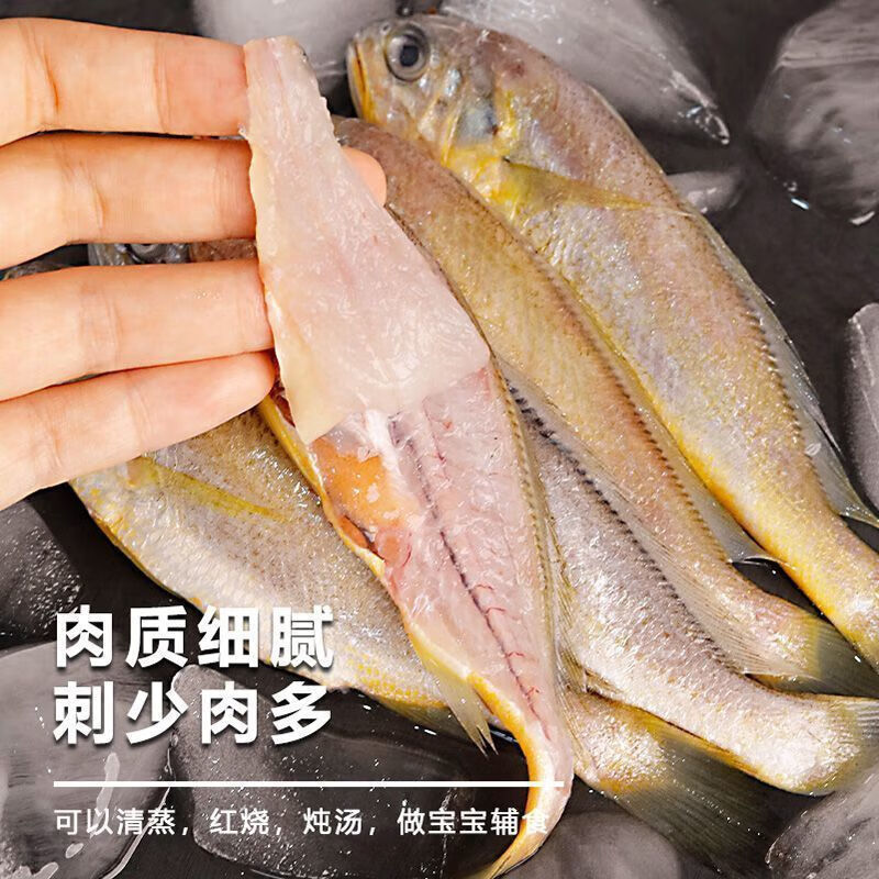 添渔港小黄鱼新鲜冷冻海鱼冰鲜真空包装生小黄鱼 1斤【约10条】