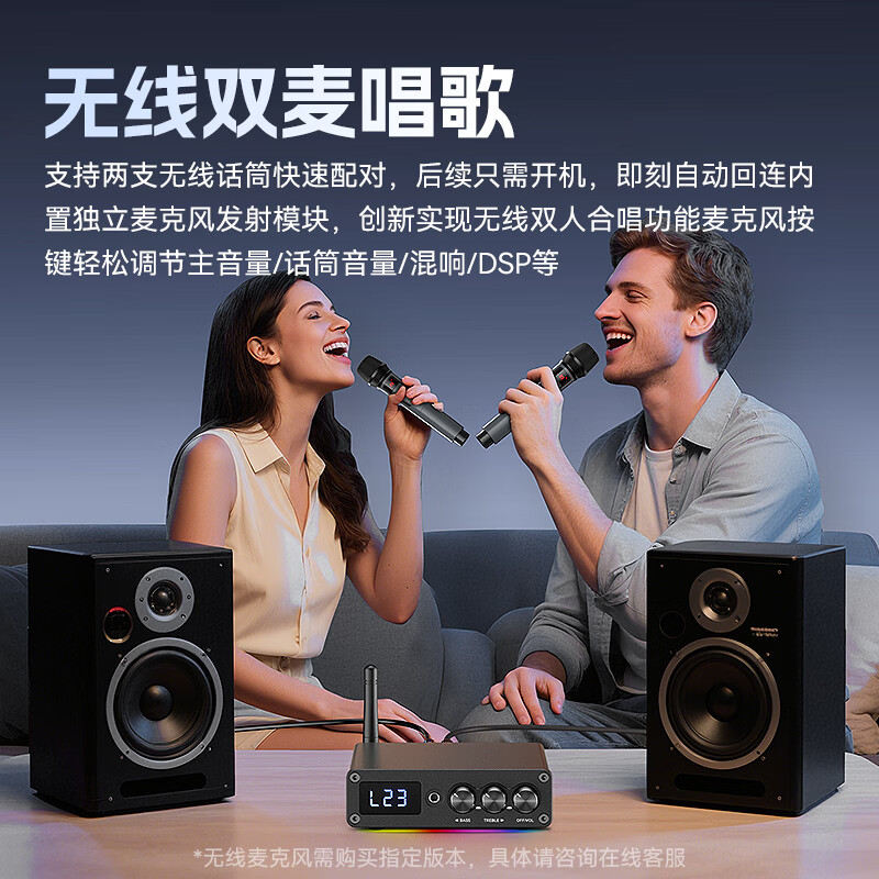 雷翼(RAYEE）5.3蓝牙功放机100W*2大功率立体声迷你家用数字功率放大器话筒唱歌无损U盘播放高低音调节 【蓝牙5.3】配24V5A电源+双话筒