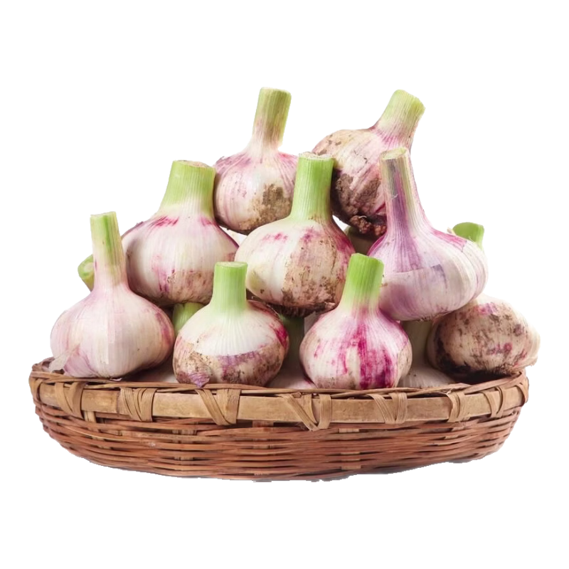 ����ɭ ������Ƥ����ͷ ����ʪ�� �й�����5�� ����4-4.5cm 15.9Ԫ