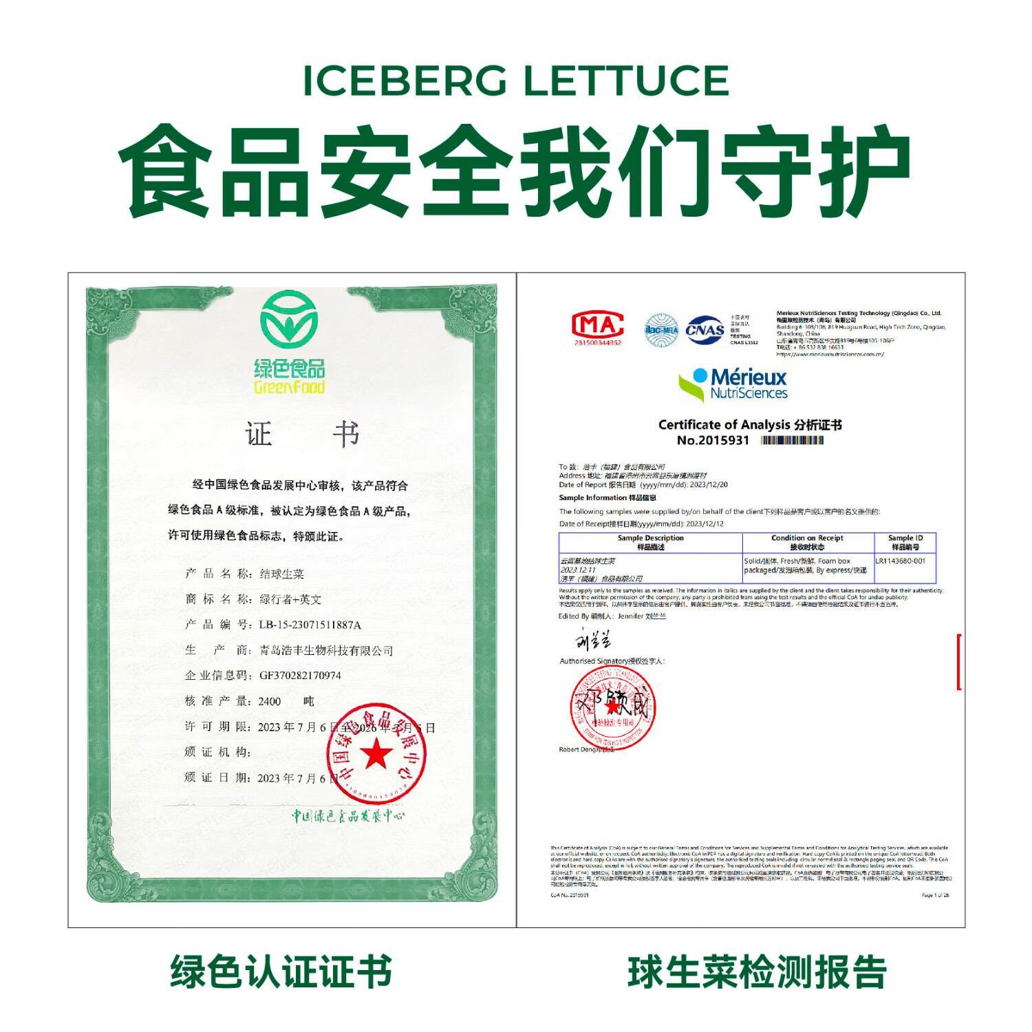 绿行者新鲜采摘球生菜脆嫩爽口结球生菜沙拉菜 2000g