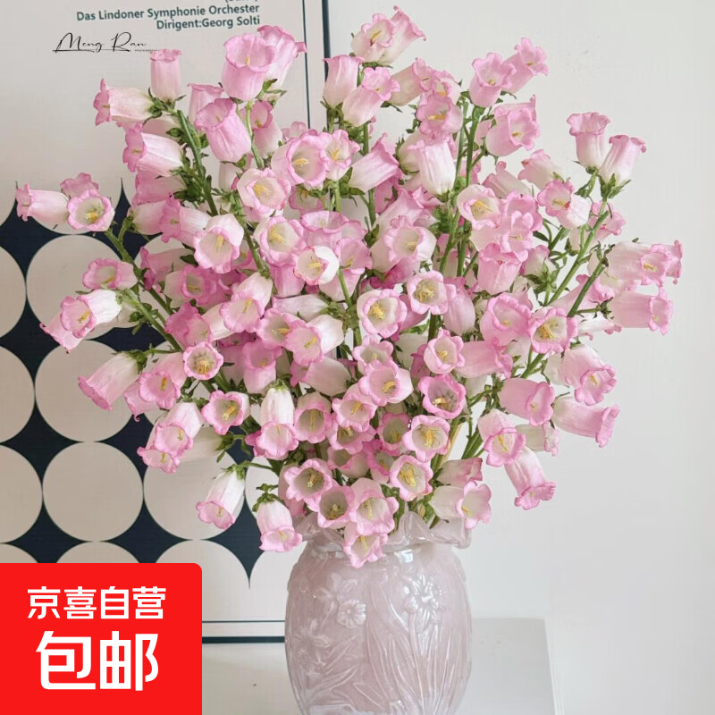 云南鲜花风铃花1扎4-7枝随机色送老师女友家人朋友节日礼物2 风铃花2扎8-14枝（京东快递）