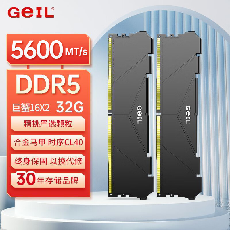 GEIL金邦巨蟹 DDR5内存条 台式机电脑内存条 5代内存条 马甲条 RGB灯条 运行内存条套条 适配9800X3D 32G(16GX2)套装 5600 黑色C40