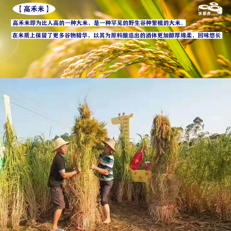 客都香传统手工纯粮酿造高禾米酒米香型白酒50度精品优选米酒 50%vol 500mL 1瓶