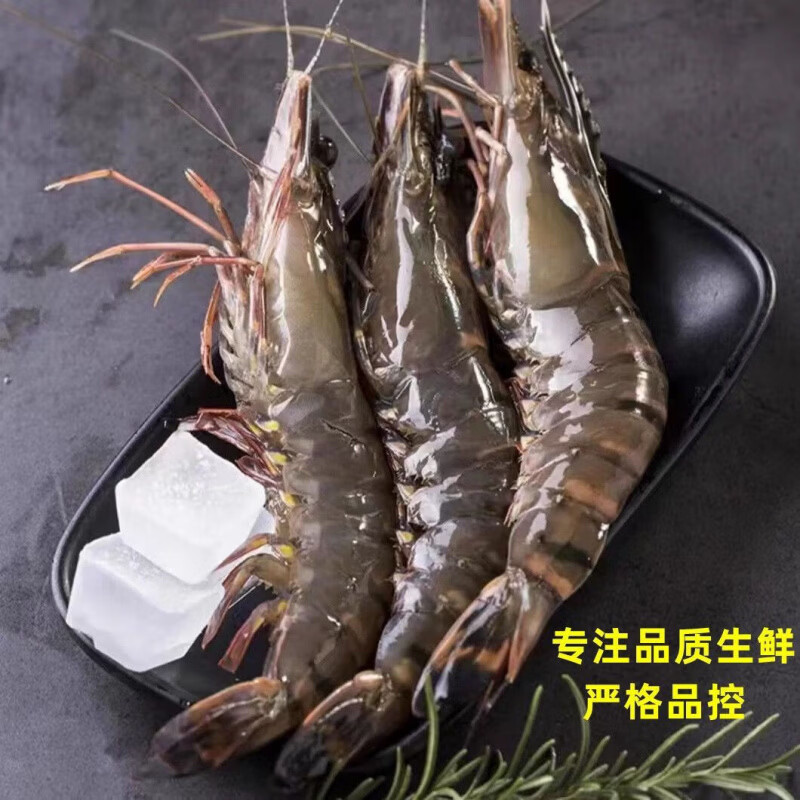 添渔港黑虎虾超大新鲜大虾老虎虾鲜活虎虾基围虾特大速冻海鲜斑竹 大号20只(1斤) 450g(净重) 2斤
