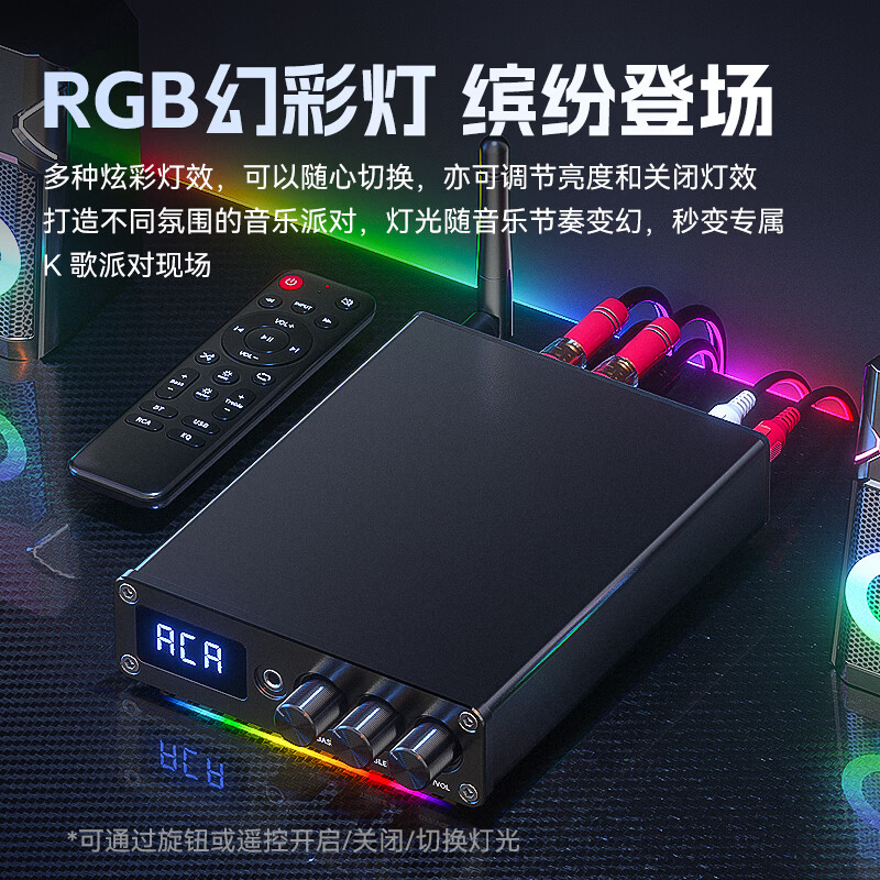 雷翼(RAYEE）5.3蓝牙功放机100W*2大功率立体声迷你家用数字功率放大器话筒唱歌无损U盘播放高低音调节 【蓝牙5.3】配24V5A电源+双话筒