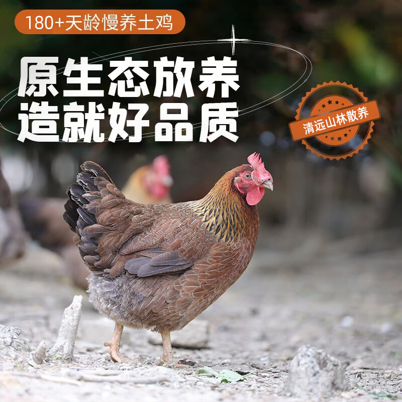 鲜其间【清远椰子鸡】4人份椰子鸡配料火锅全套餐 正宗清远鸡散养走地鸡 【3-4人份】原味清远椰子鸡套餐5.8斤 椰子鸡火锅套餐 含清远鸡+椰子水+蘸料+配菜