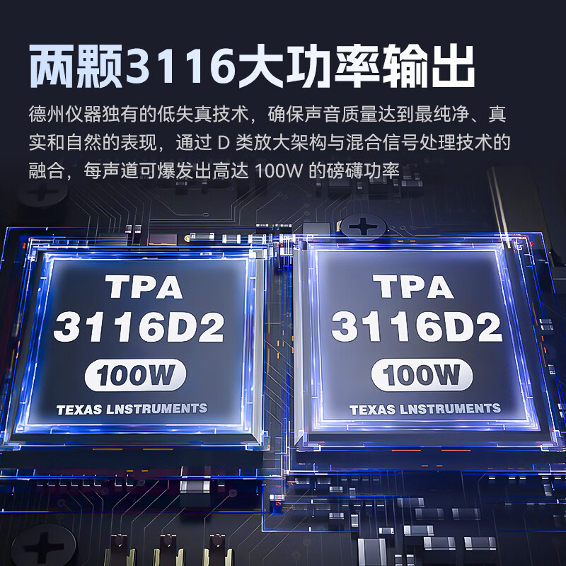 雷翼(RAYEE）5.3蓝牙功放机100W*2大功率立体声迷你家用数字功率放大器话筒唱歌无损U盘播放高低音调节 【蓝牙5.3】配24V5A电源+双话筒