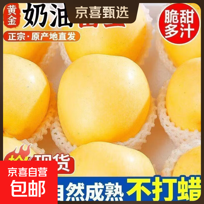 山东奶油富士苹果黄金奶油富士苹果水果 产地直发 2斤装6-9颗净重1.7斤65mm
