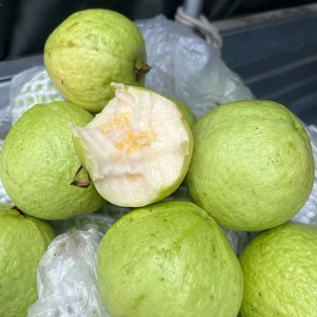 佬鲜君【软硬两吃】广西红白双拼芭乐低糖口感软糯香甜新鲜采摘水果3斤 3斤 红心+白心芭乐,单果130g以上,大概8-12个