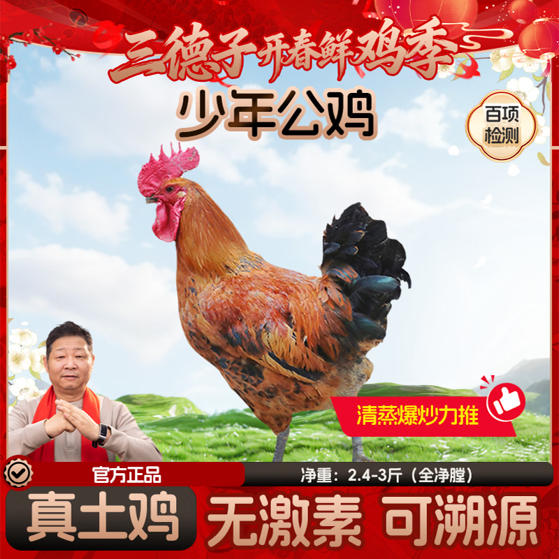 三德子好甄选少年雪山草鸡 净重2.4-3斤 散养土鸡跑山鸡生鲜鸡肉