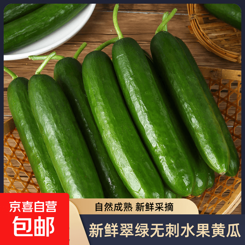 原汁水果小黄瓜新鲜黄瓜甜脆爽口小青瓜蔬菜农家自种生吃 山东水果黄瓜   带箱1斤 0.8斤 净重