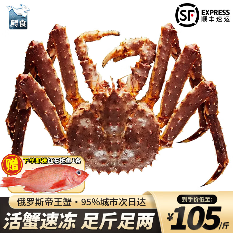 鲟食 帝王蟹俄罗斯进口大螃蟹生鲜 超大皇帝蟹鲜活冷冻蟹类海鲜送礼 5-5.5斤帝王蟹【黄金规格】