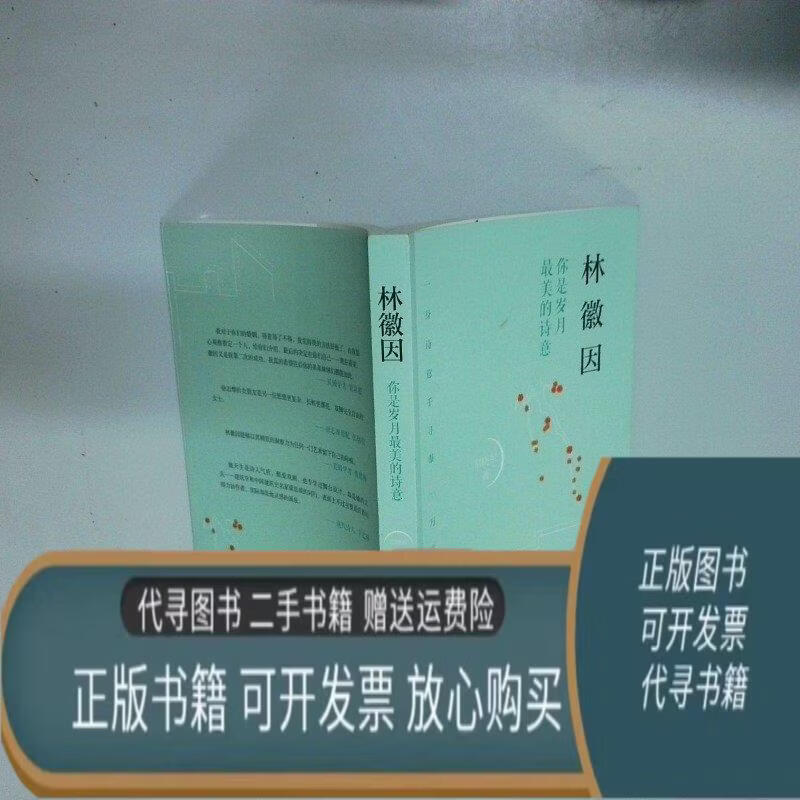 【二手85成新】林徽因你是岁月最美的诗意  常晓军 台海出版社台海出版社
