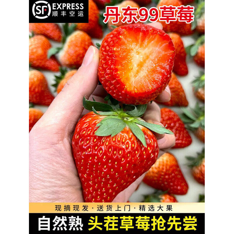 丹东草莓99红颜九九牛奶奶油大草莓新鲜水果孕妇宝宝放心吃 【精选】中大果(单果重25-34g) 1000g