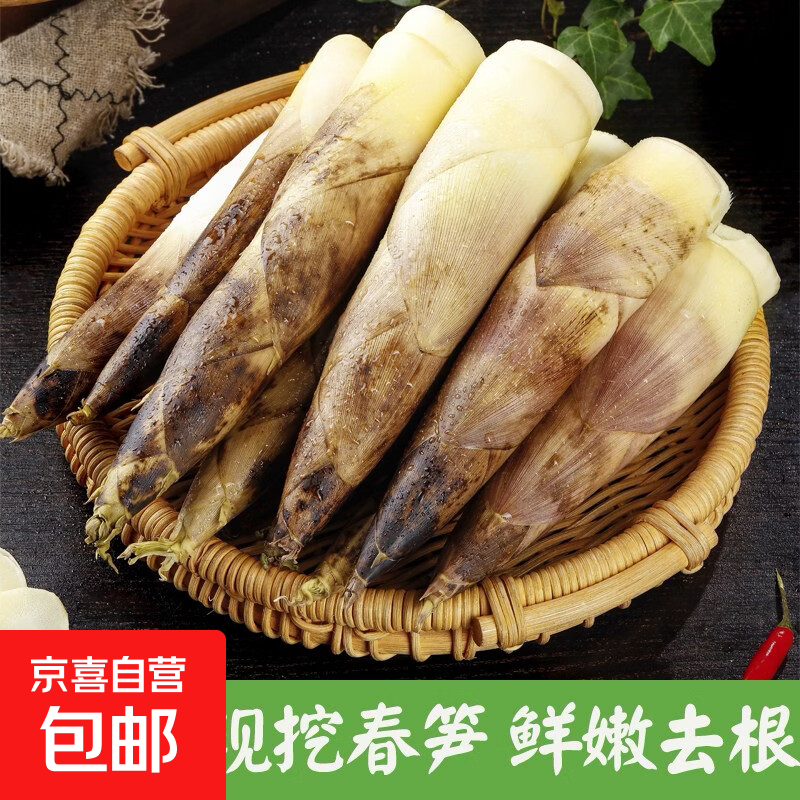 【春菜尝鲜】正宗天目山春笋雷竹笋去老根发货当季蔬菜京东包邮 新鲜春笋5斤 净重