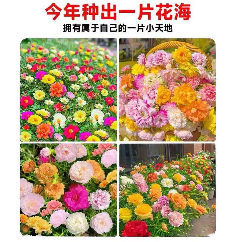 溥畔泡沫箱特大号泡沫箱快递专用泡沫箱种菜专用加厚加硬种菜箱长方形 超大种植箱加长款x3+G58