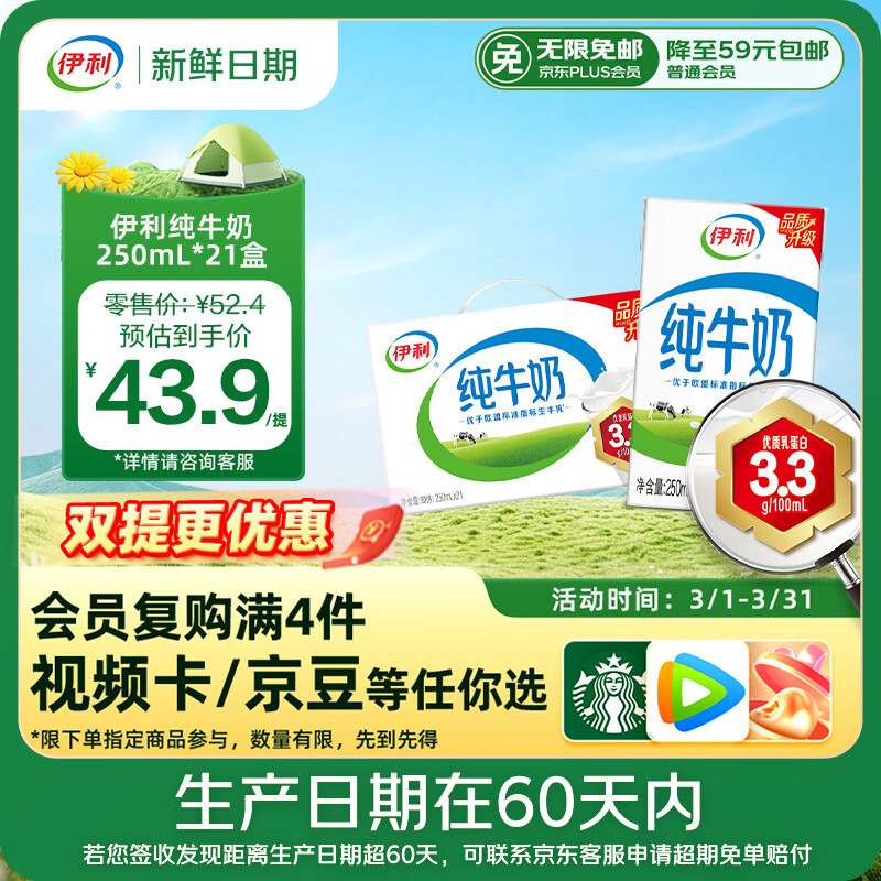 伊利【新鲜日期】纯牛奶250ml*21盒 早餐奶 财神装普通礼盒装混发