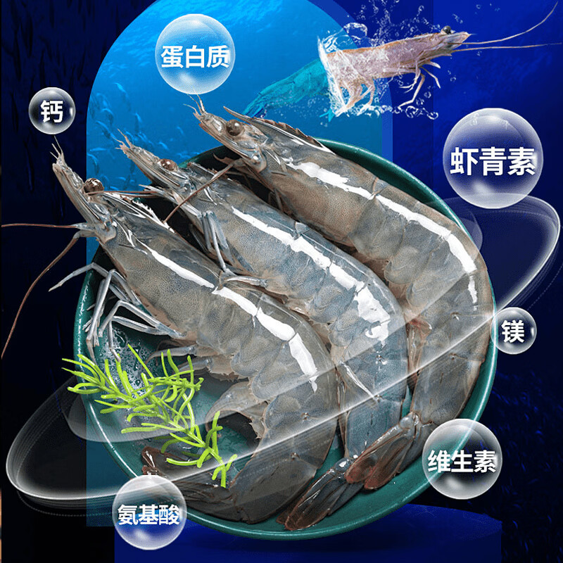 连海肴国产海捕大虾 青虾对虾白虾基围虾 鲜活冷冻超大虾类烧烤食材 气冻大虾 3斤(净重)  15-18cm【单冻 超大号】