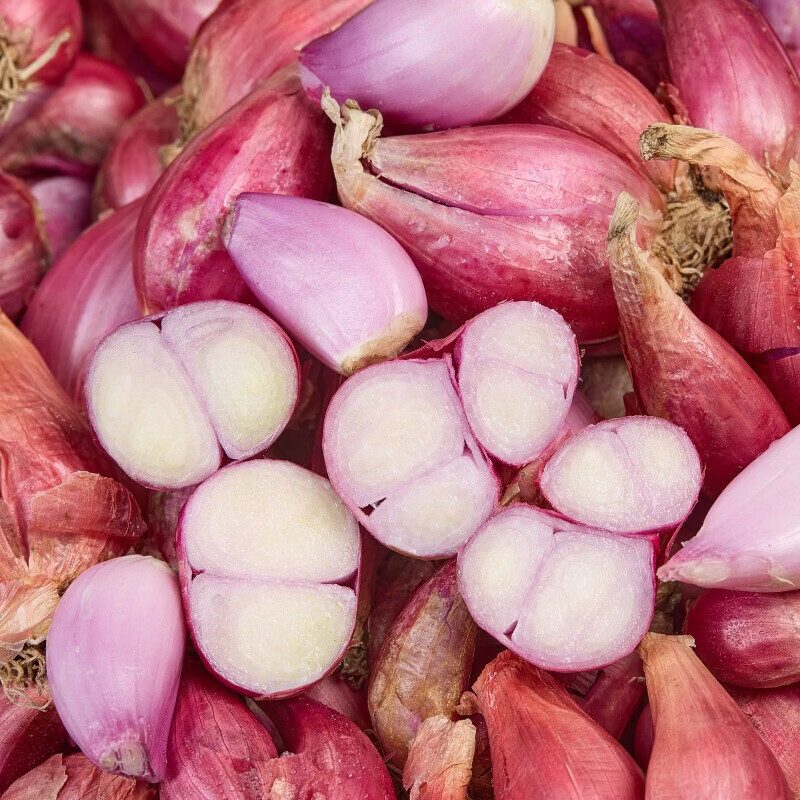 北森南屿四季小香葱种头四川葱种葱种子种籽小葱葱头红葱本地火葱头种批发 红葱头5斤