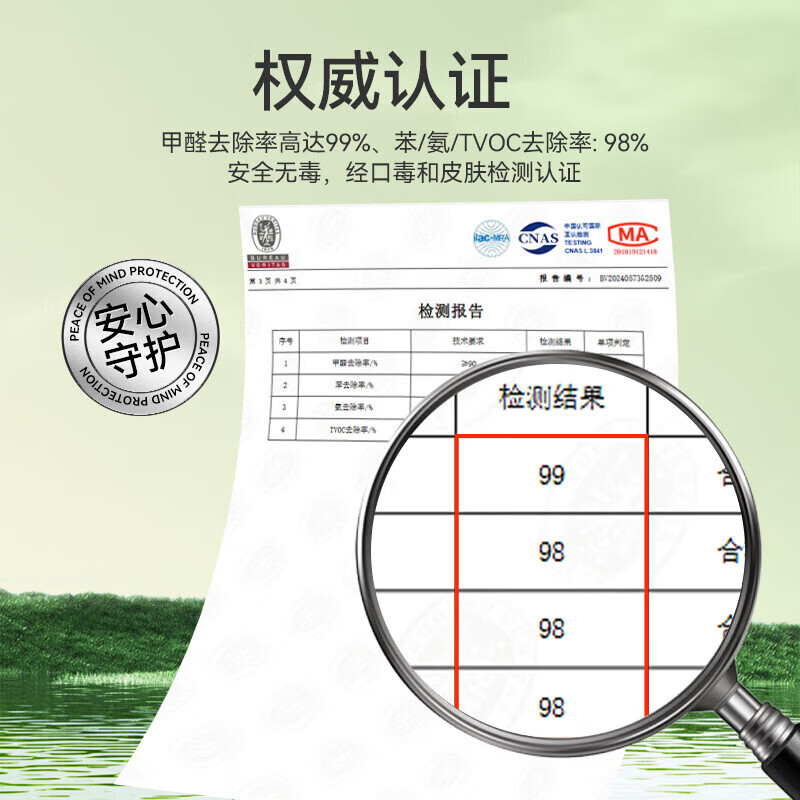 绿之源活性炭除甲醛去甲醛炭包去甲醛新房汽车除味竹碳包除甲醛除味 双核净化可视变色炭3kg