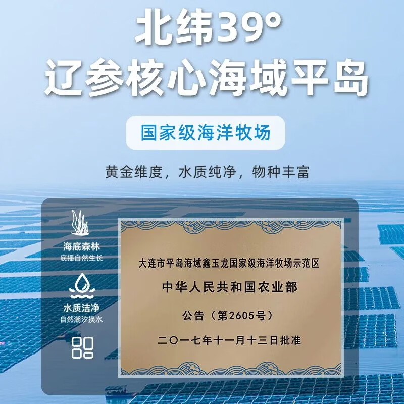 鑫玉龙有机即食海参正宗大连辽参鲜食辽刺参海鲜水产 固体物含量≥85% 【量贩装】有机海参3斤42头