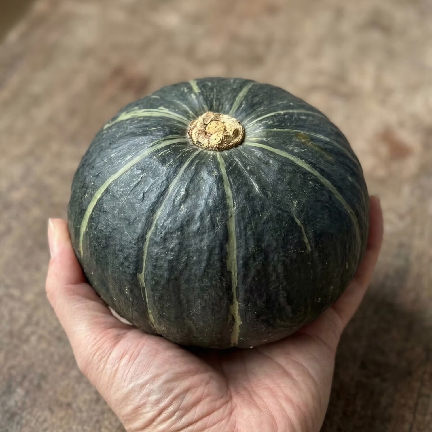 正宗贝贝南瓜 板栗小南瓜 粉糯香甜生鲜蔬菜精品蔬果新鲜直达 单果250g+实惠装净重4.5斤整箱 5斤