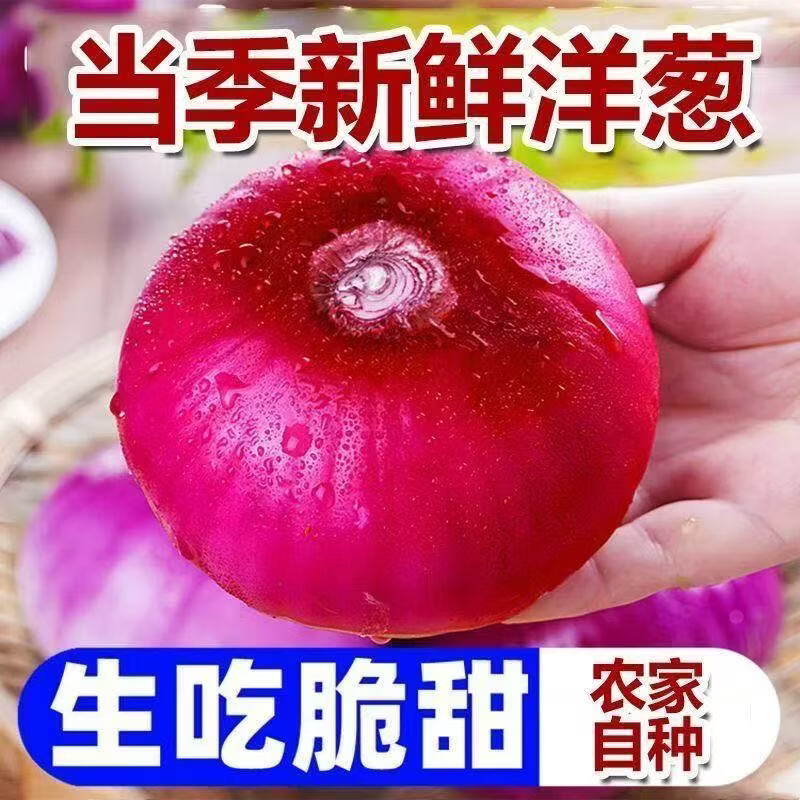 0.99元抢紫皮洋葱1斤！还送3瓣大蒜，手慢无