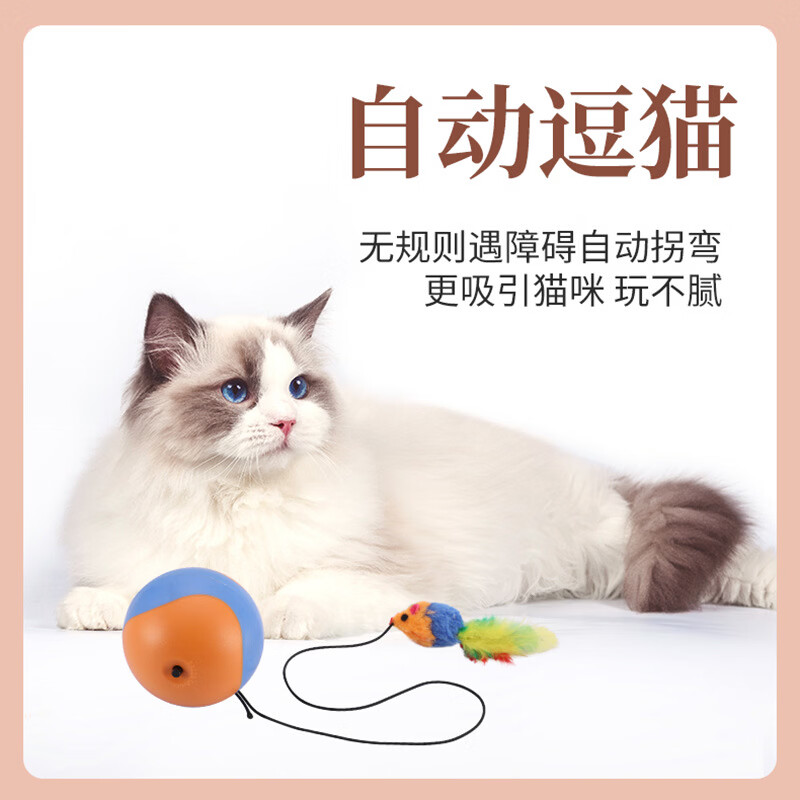 温诗欧电动自嗨逗猫球老鼠逗猫棒猫咪解闷运动玩具 自动逗猫球 京东折扣/优惠券