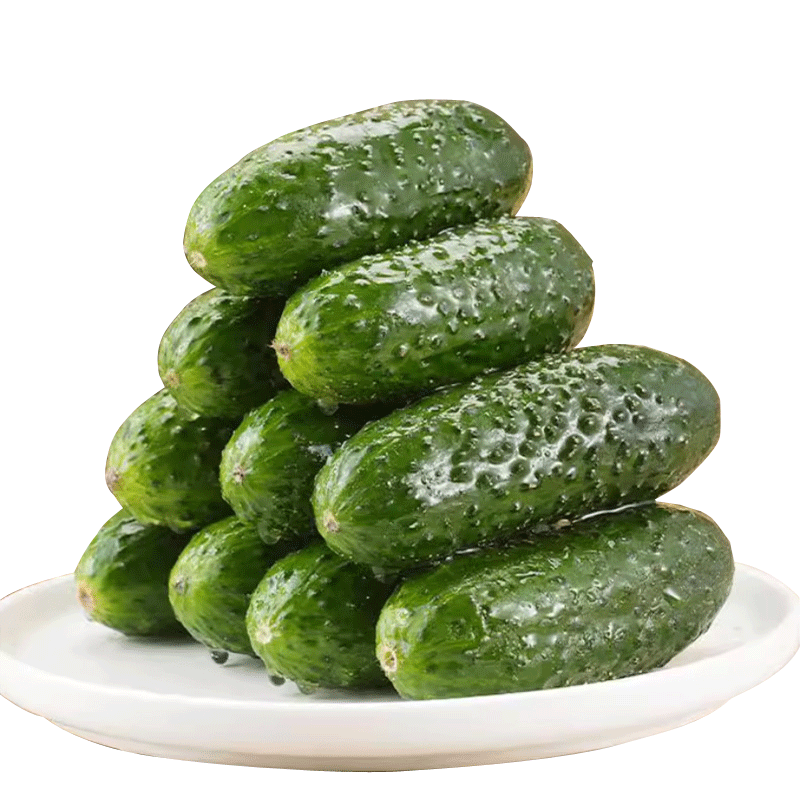 ���ڲ��������ش�ɽ��������ɯˮ���ƹ� ����5�� ������50g+Դͷֱ������ 19.8Ԫ
