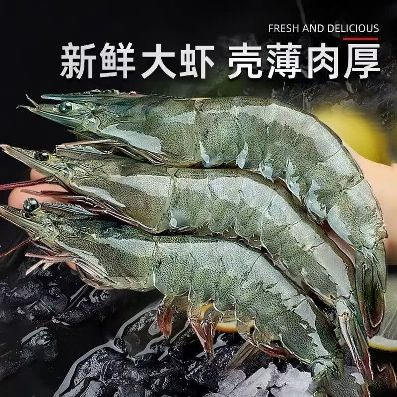 添渔港厄瓜多尔白虾大虾整箱海鲜鲜活速冻超特大冷冻基围虾鲜虾海虾对虾 【30-40】 3斤(净重) 单冻工艺 只只分离