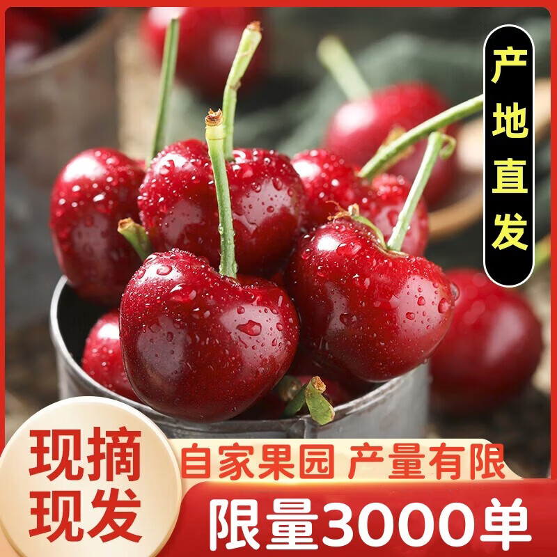 飘香果度樱桃车厘子山西新鲜大樱桃国产车厘子孕妇水果时令生鲜 2斤(净重) 24-26mm较划算【性价比之王】